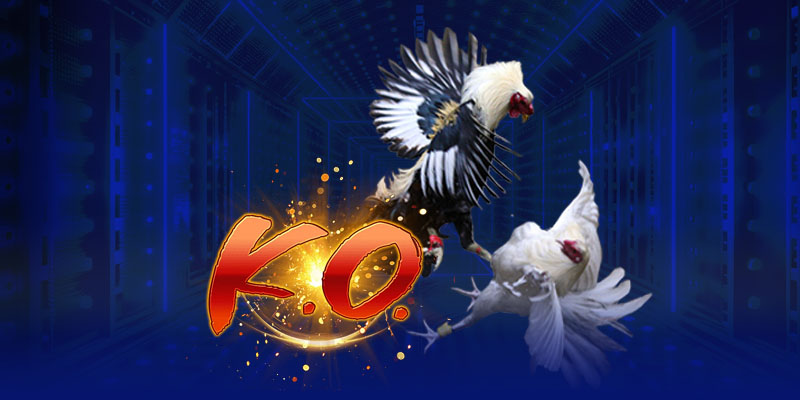 Tổng quan các thông tin về Nhà Cái go88